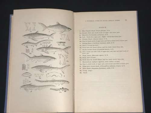 A PICTORIAL SOUTH AFRICAN FISHES MARINE AND FRESHWATER BT K.H. BARNARD