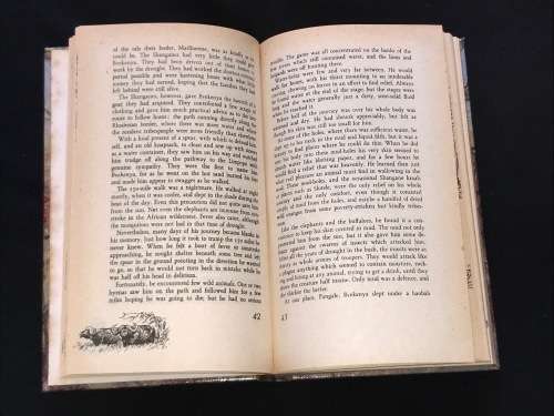 THE IVORY TRAIL BY T.V. BULPIN