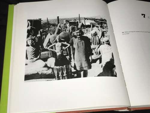 THIS IS MY WORLD THE LIFE OF HELEN MARTINS, CREATOR OF THE OWL HOUSE BY SUSAN IMRIE ROSS