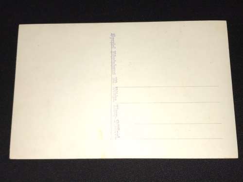 1930`S AUSTRIAN LIENZ MOUNTAIN HARP PLAYER & MUSICIANS POSTCARD