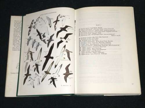 ROBERT'S BIRDS OF SOUTH AFRICA 1975