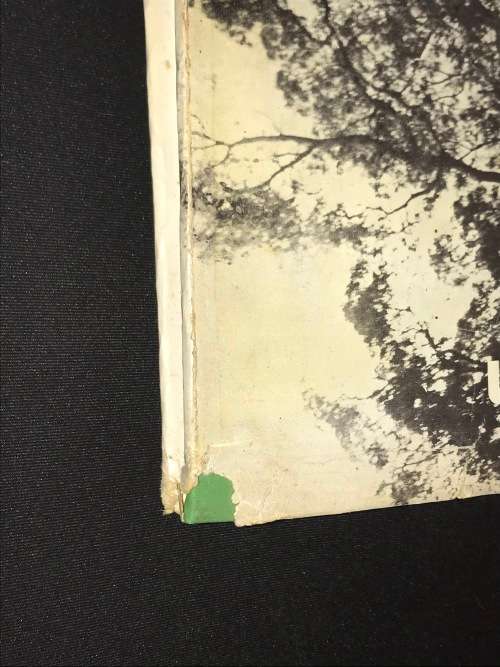 SOUTHERN CAPE FORESTS AND TREES BY F. VON BREITENBACH