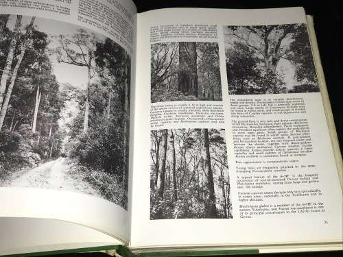 SOUTHERN CAPE FORESTS AND TREES BY F. VON BREITENBACH