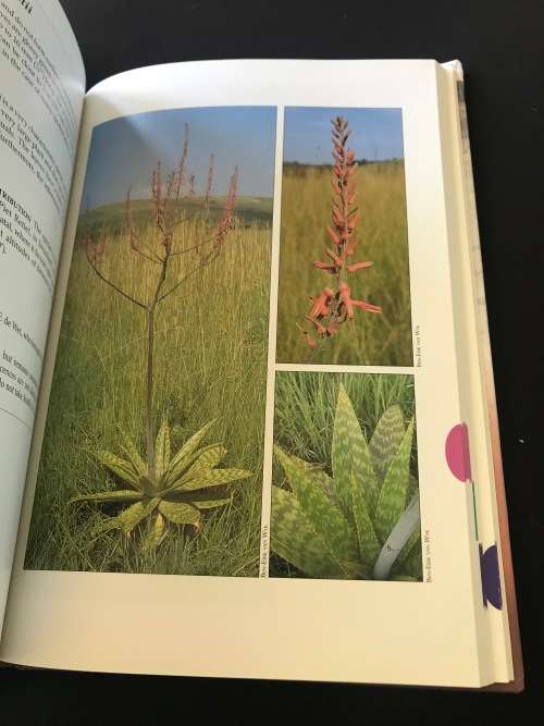 GUIDE TO ALOES OF SOUTH AFRICA BY BEN-ERIK VAN WYK & GIDEON SMITH