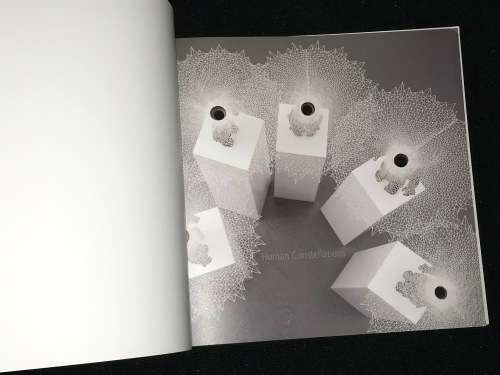 HUMAN CONSTELLATIONS BY KIM LIEBERMAN