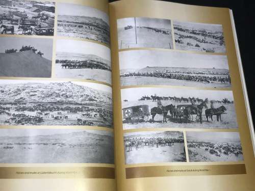 WILD HORSES IN THE NAMIB DESERT AN EQUINE BIOGRAPHY - MANFRED GOLDBECK AND TELANE SWILLING INSCRIBED