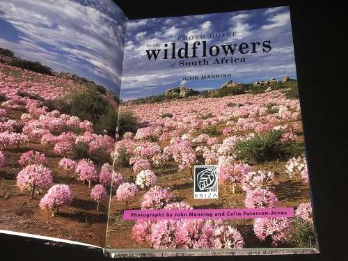 WILDFLOWERS OF SOUTH AFRICA BY JOHN MANNING