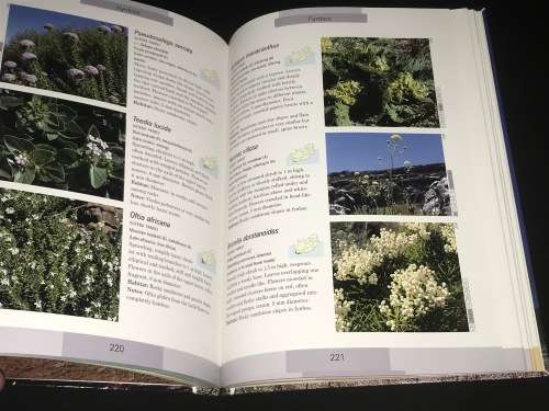 WILDFLOWERS OF SOUTH AFRICA BY JOHN MANNING