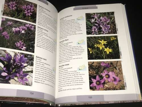 WILDFLOWERS OF SOUTH AFRICA BY JOHN MANNING