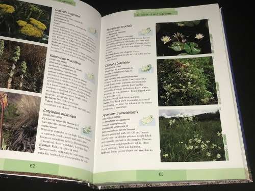 WILDFLOWERS OF SOUTH AFRICA BY JOHN MANNING