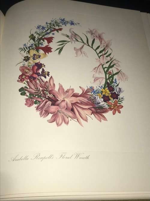 ARABELLA ROUPELL PIONEER ARTIST OF CAPE FLOWERS LIMITED EDITION