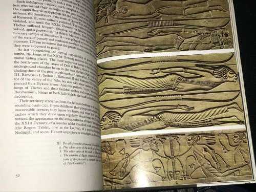 TUTANKHAMEN BY C. DESROCHES - NOBLECOURT