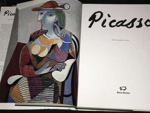 PICASSO BY ROBIN LANGLEY SOMMER