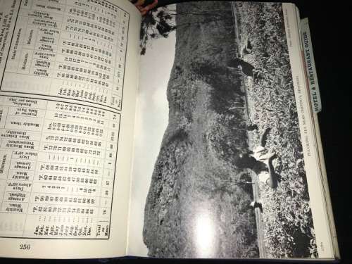 YEAR BOOK & GUIDE TO SOUTHERN AFRICA 1966