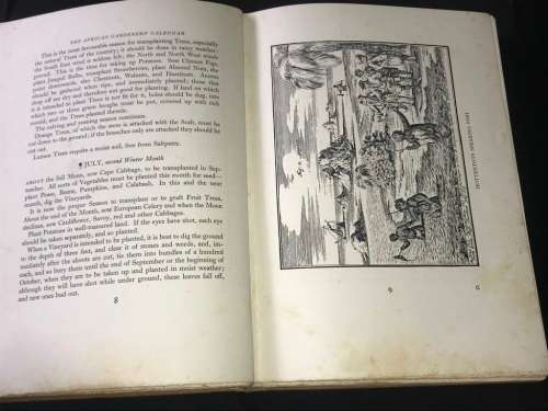 HISTORIC FARMS OF SOUTH AFRICA BY DOROTHEA FAIRBRIDGE 1931