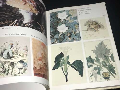 NARCOTIC PLANTS BY WILLIAM EMBODEN