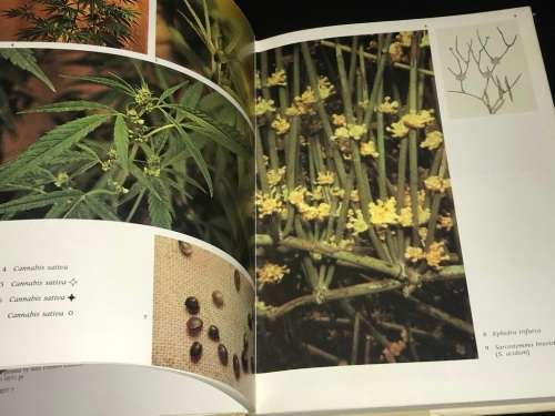 NARCOTIC PLANTS BY WILLIAM EMBODEN