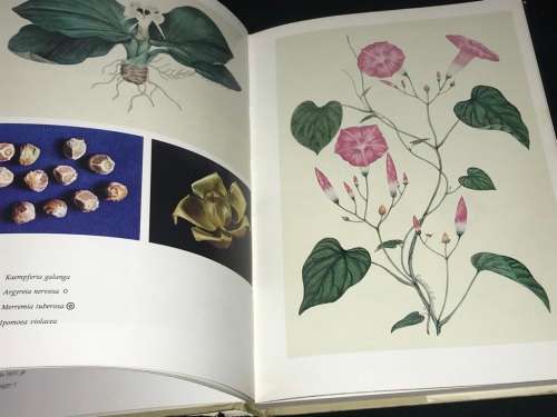 NARCOTIC PLANTS BY WILLIAM EMBODEN