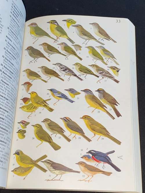 BIRDS OF VENEZUELA BY RODOLPHE MEYER DE SCHAUENSEE AND WILLIAM PHELPS JR
