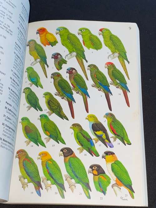BIRDS OF VENEZUELA BY RODOLPHE MEYER DE SCHAUENSEE AND WILLIAM PHELPS JR