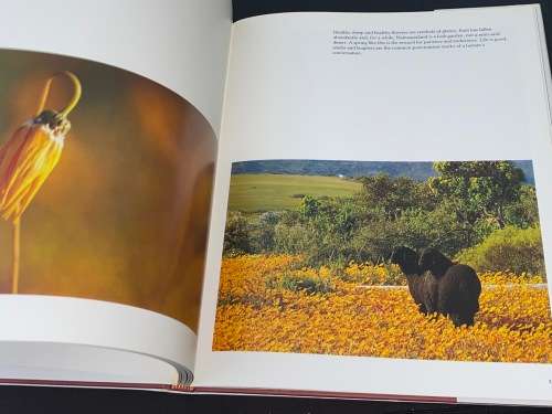 NAMAQUALAND GARDEN OF THE GODS BY FREEMAN PATTERSON