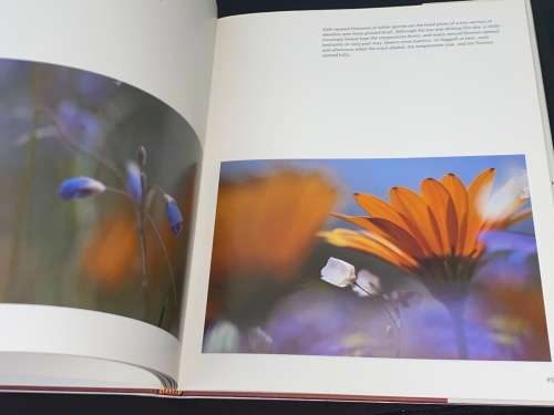 NAMAQUALAND GARDEN OF THE GODS BY FREEMAN PATTERSON