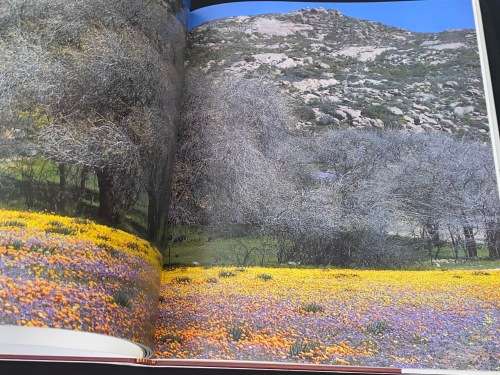 NAMAQUALAND GARDEN OF THE GODS BY FREEMAN PATTERSON