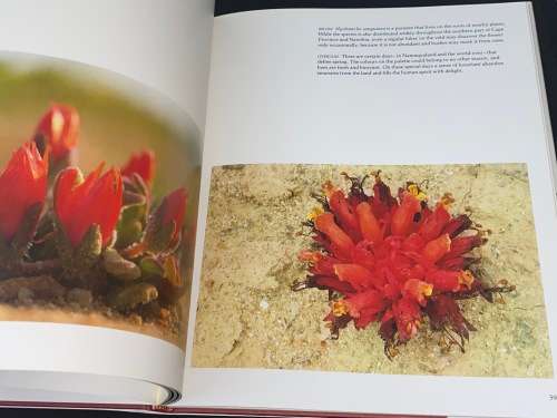 NAMAQUALAND GARDEN OF THE GODS BY FREEMAN PATTERSON