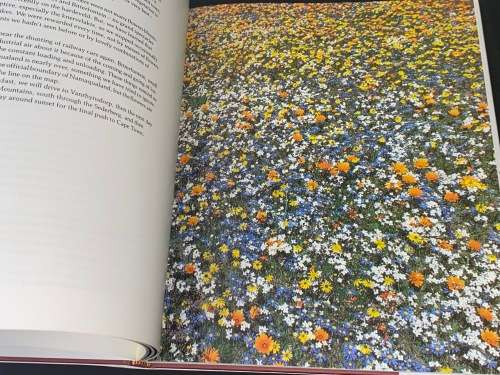 NAMAQUALAND GARDEN OF THE GODS BY FREEMAN PATTERSON