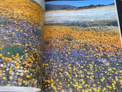 NAMAQUALAND GARDEN OF THE GODS BY FREEMAN PATTERSON