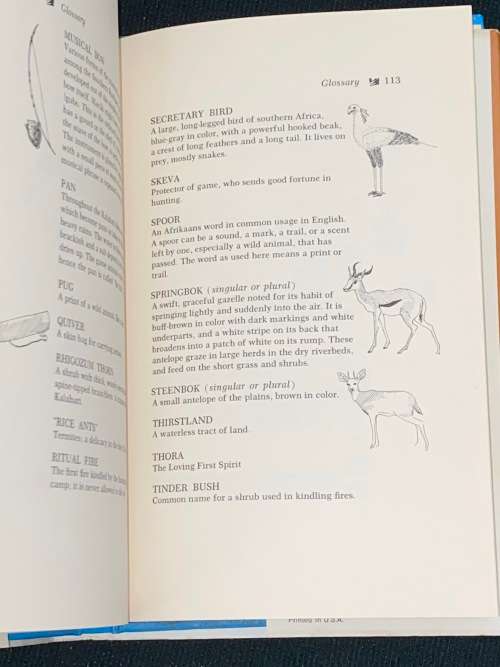 THE LION OF THE KALAHARI BY SAM B. HOBSON AND GEORGE CARY HOBSON