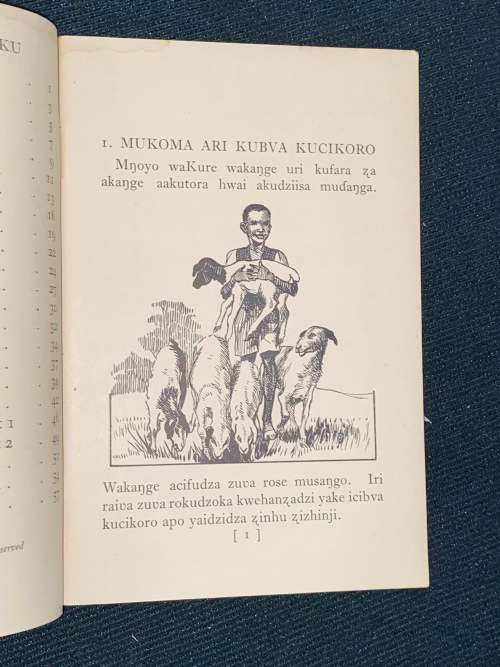 RUGWARO RWA BADUKU - SHONA PRIMER