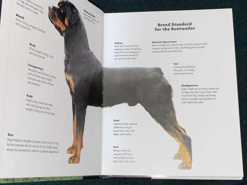 ROTTWEILER BY WILHELM JONAS