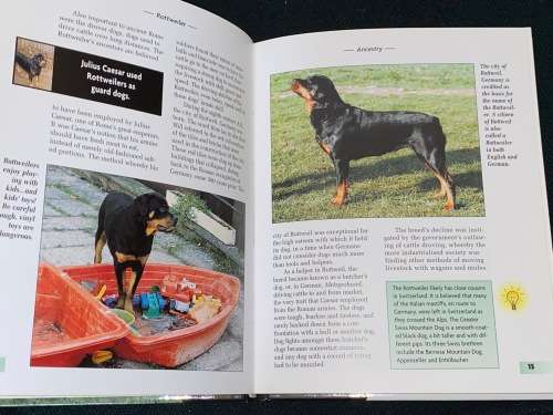 ROTTWEILER BY WILHELM JONAS