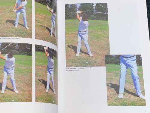 THE GOLF INSTRUCTOR AN ILLUSTRATED GUIDE FROM TEE TO GREEN BY MICHAEL HOBBS