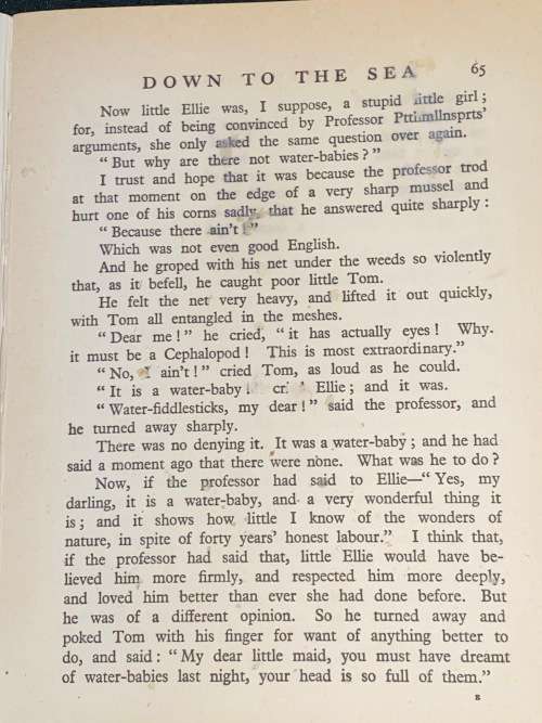 THE WATER BABIES 16 COLOUR PLATES BY HARRY G. THEAKER