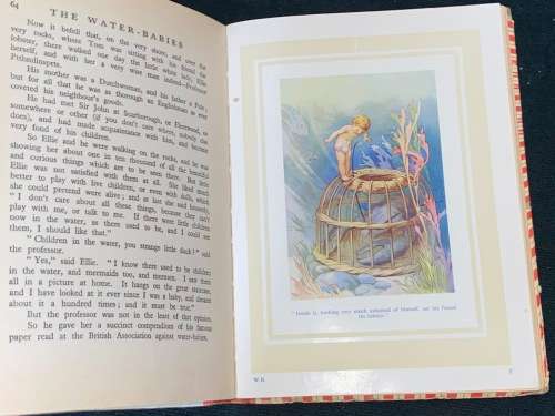 THE WATER BABIES 16 COLOUR PLATES BY HARRY G. THEAKER