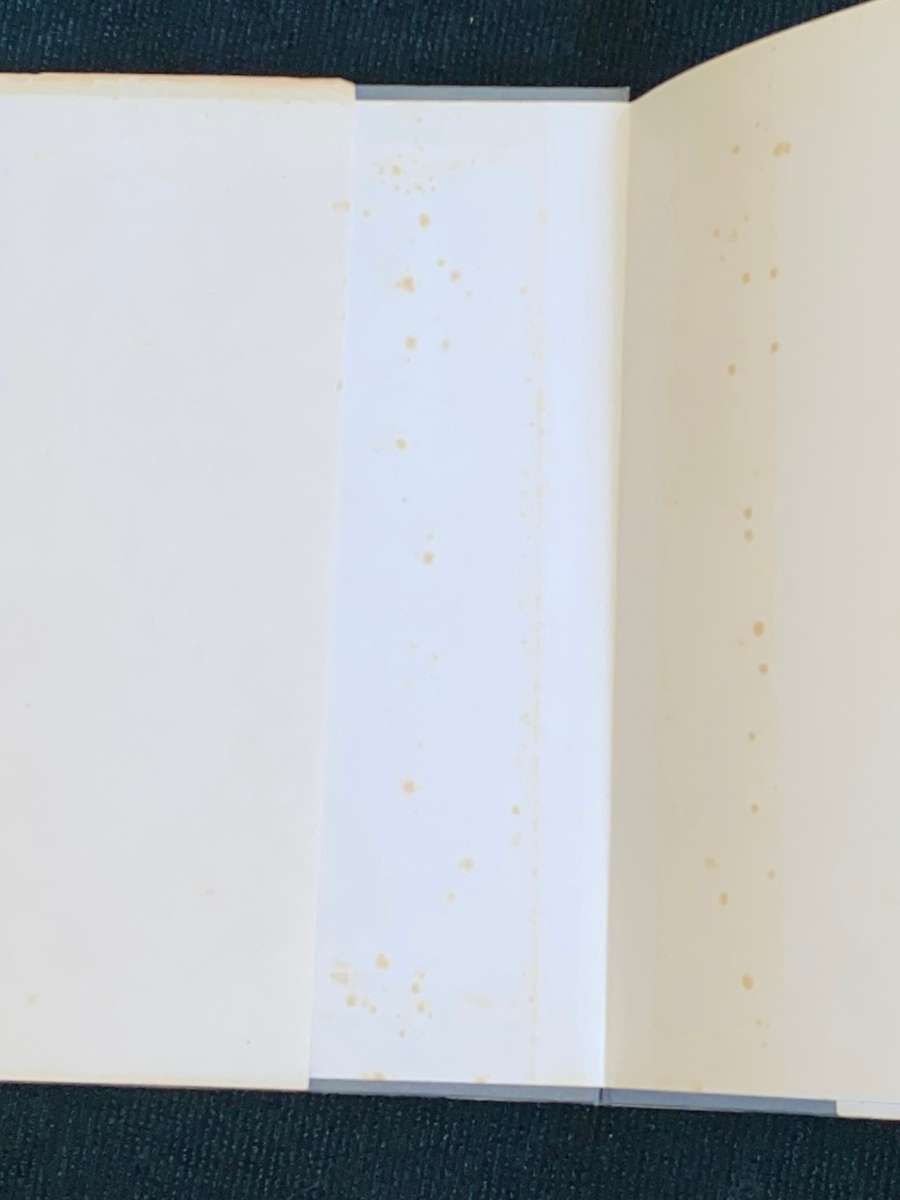 MANNIN DEUR ANTJIE KROG