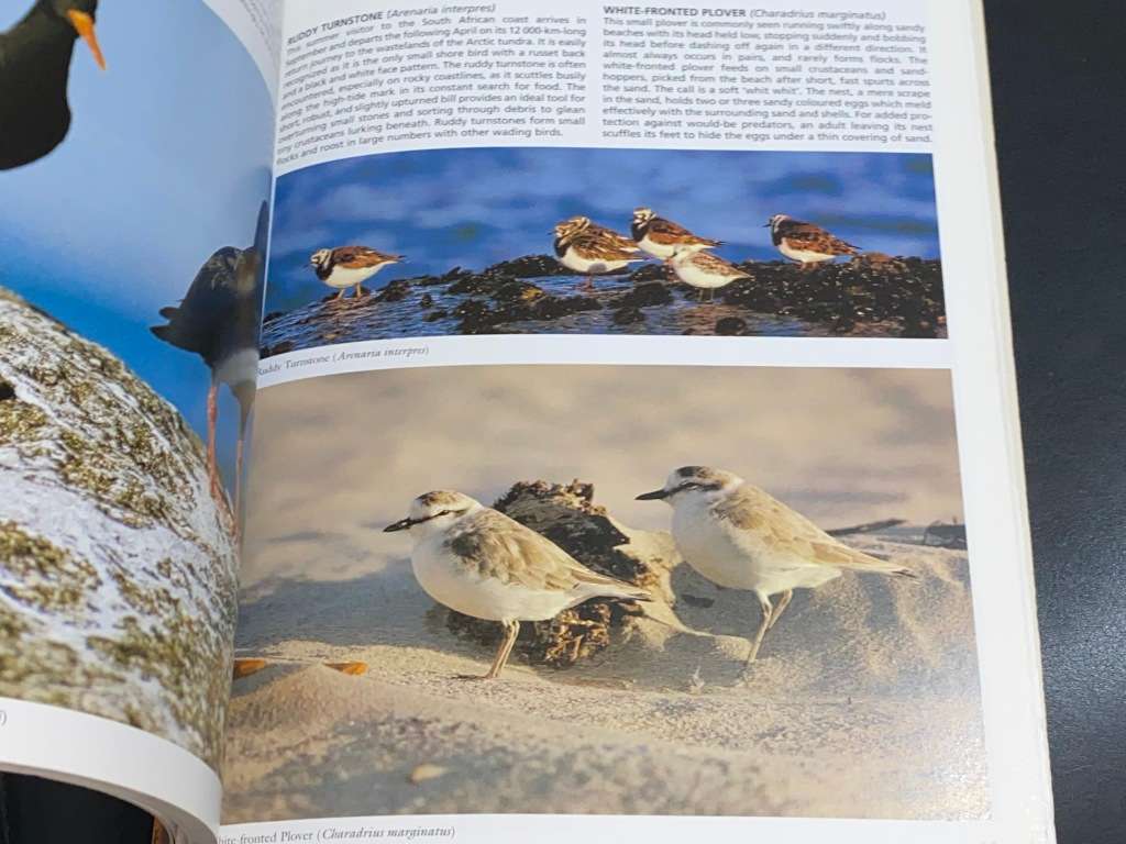 EVERYONE`S GUIDE TO BIRDS OF SOUTH AFRICA BY IAN SINCLAIR & JOHN MENDELSOHN SIGNED