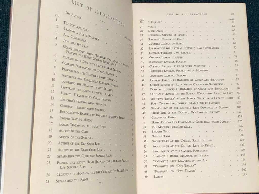 BREAKING AND RIDING BY JAMES FILLIS