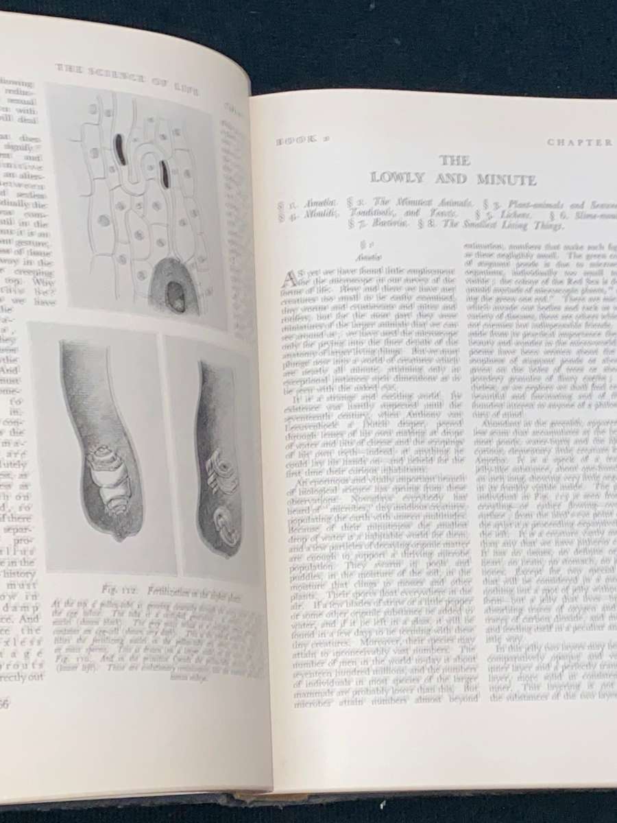 THE SCIENCE OF LIFE BY H.G. WELLS, JULIAN HUXLEY AND G.P. WELLS