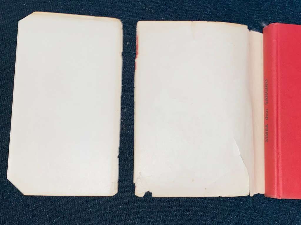 SIMBA DEUR SANGIRO (A.A PIENAAR)