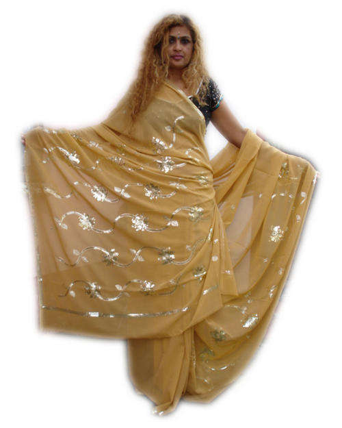 "Stunning" Soft Chiffon Sari