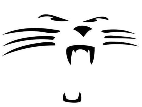 1 x Vinyl Sticker Wild Cat 75 mm x 48 mm Decal