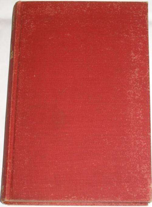 THE RAIN GODDESS - PETER STIFF