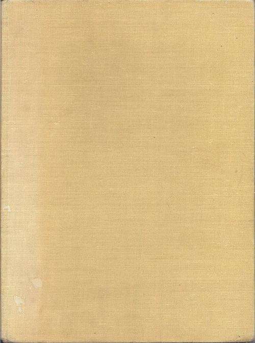 NEIGHBOURS - LUCY DAWSON