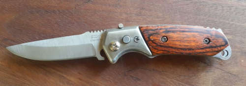 Stainless Steel Knife with Wood Handle