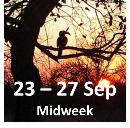 Hoedspruit midweek   -   8 person lodge