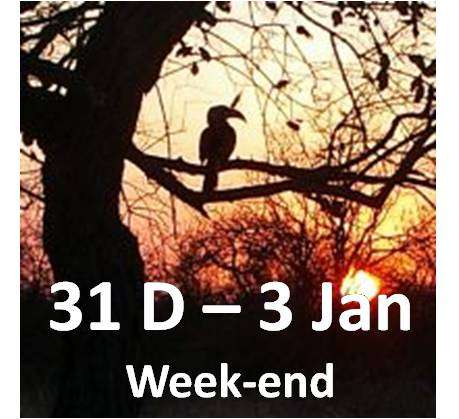 Hoedspruit week-end   -   8 person lodge