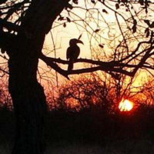 Hoedspruit Bushveld Break - 8 Sleeper Lodge